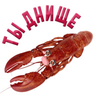 Раки