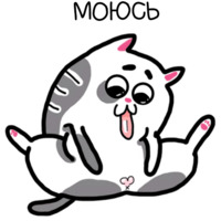 Жиробарсик