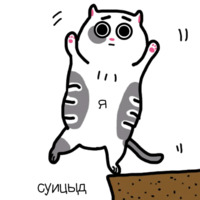 Жиробарсик
