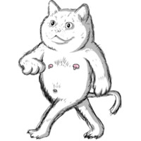 ZYAPA
